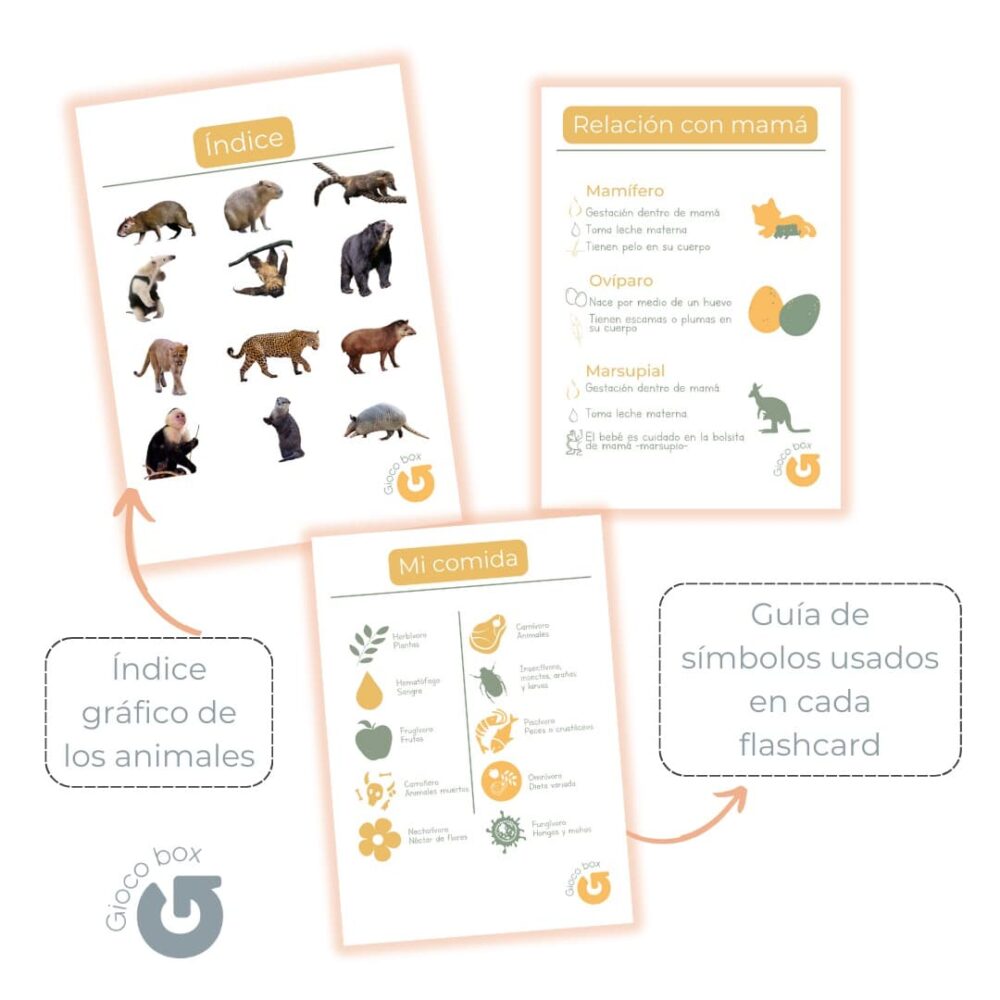 Animales de Colombia